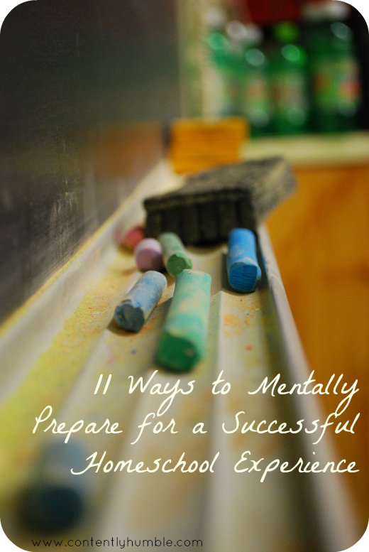 11 Ways to Mentally Prepare for Successful Homeschooling Experience