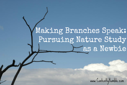 Making Branches Speak-Pursuing Nature Study as a Newbie