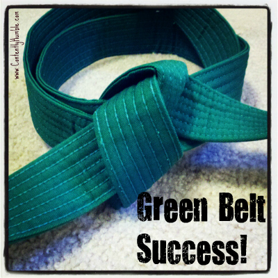Taekwondo Green Belt Test and Homeschool Weekly Schedule
