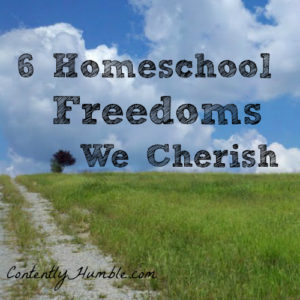 Homeschool Freedoms