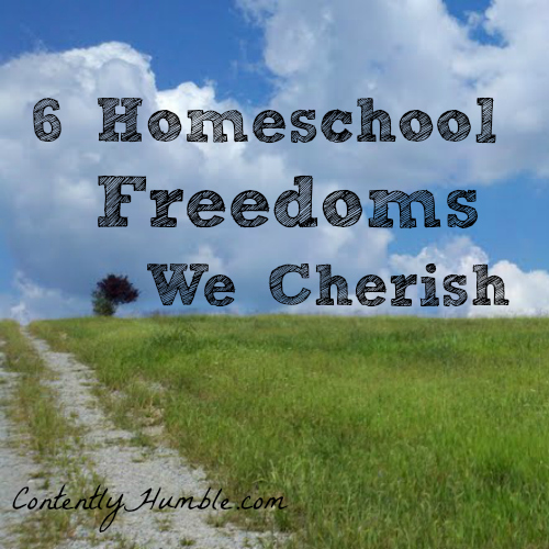 Six Homeschool Freedoms We Cherish
