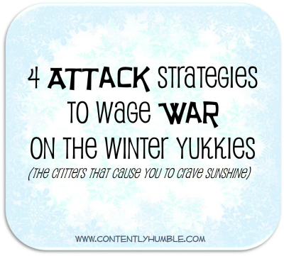 4 Attack Strategies to Wage War on the Winter Yukkies (the critters that cause you to crave sunshine)