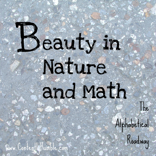 Beauty in Nature and Math