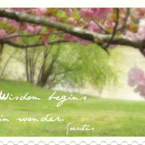 Wisdom begins in wonder