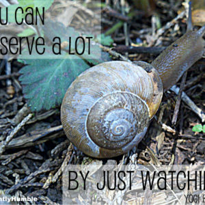 You can observe a lot by just watching_Yogi Berra