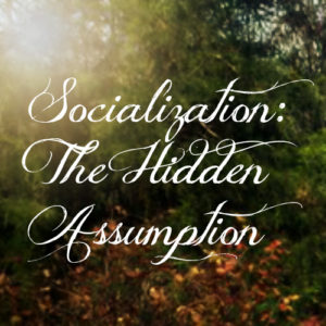 Socialization: The Hidden Assumption