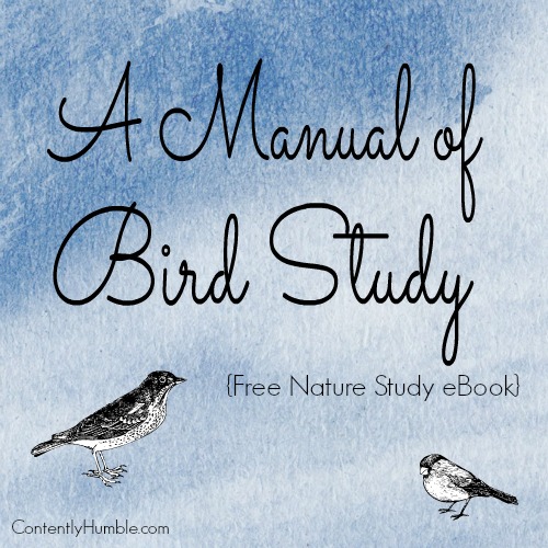 A Manual of Bird Study {Free Nature Study eBook}