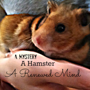A Mystery-A Hamster-A Renewed Mind