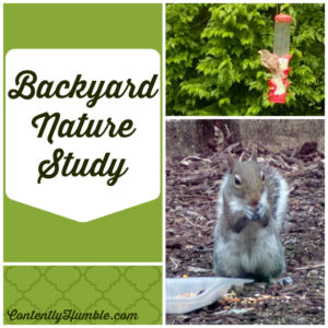 Backyard Nature Study