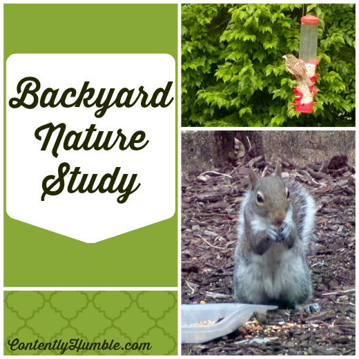 Backyard Nature Study