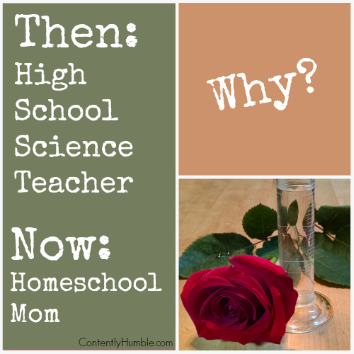 Then-High School Science Teacher. Now-Homeschool Mom. WHY?