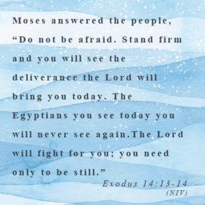 Exodus 14:13-14